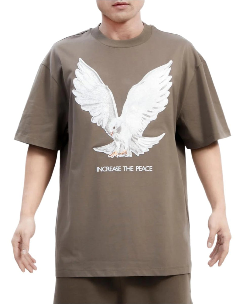 Roku Studio 'Neutral Dove' Oversized T-Shirt (Brown) RK1481072 - Fresh N Fitted Inc