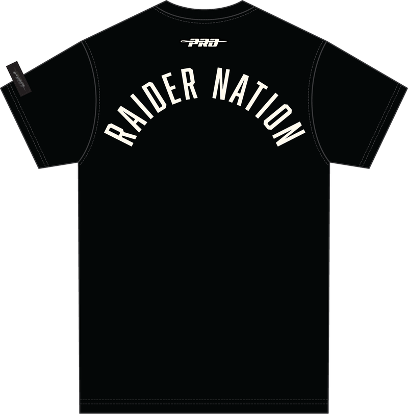 Pro Standard Las Vegas Raiders 'Modern Originals' T-Shirt (Black) FOR1411098