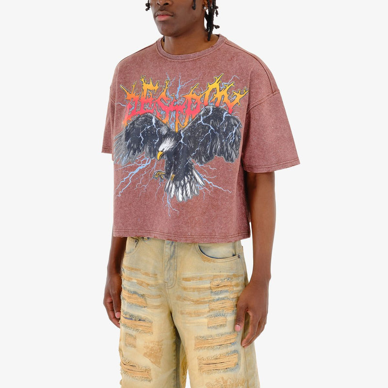 Copper Rivet 'Destroy Eagle' Oversize Crop T-Shirt (Brown) 511024 - FRESH N FITTED