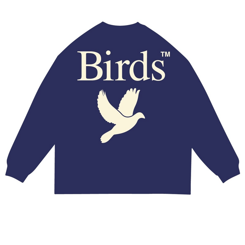 Birds "Cant Take The Sky" Navy Premium Oversized Box Long Sleeve - FRESH N FITTED