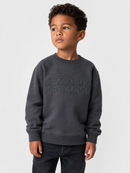 Jordan Craig Kids "Paradise" Pullover Crewneck Sweater (Charcoal) 8829TK