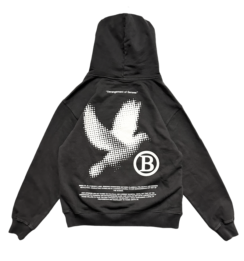 Birds 'Bird Sport' Onyx Ultra Premium Oversized French Terry Hoodie - FRESH N FITTED