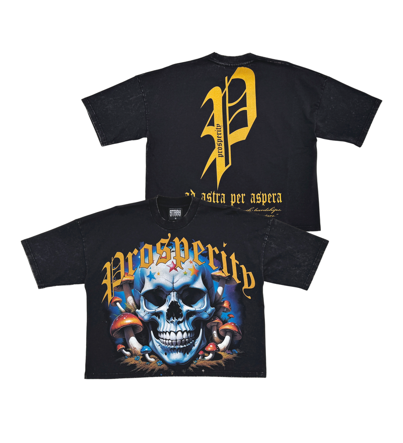 Stray 'Prosperity' Cropped T-Shirt (Black) ST1357 - FRESH N FITTED