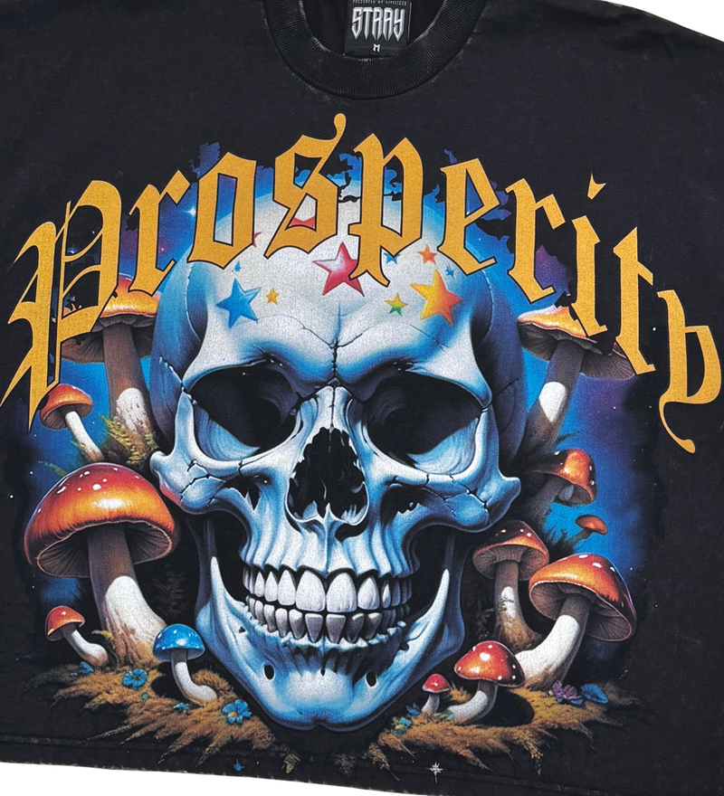 Stray 'Prosperity' Cropped T-Shirt (Black) ST1357 - FRESH N FITTED